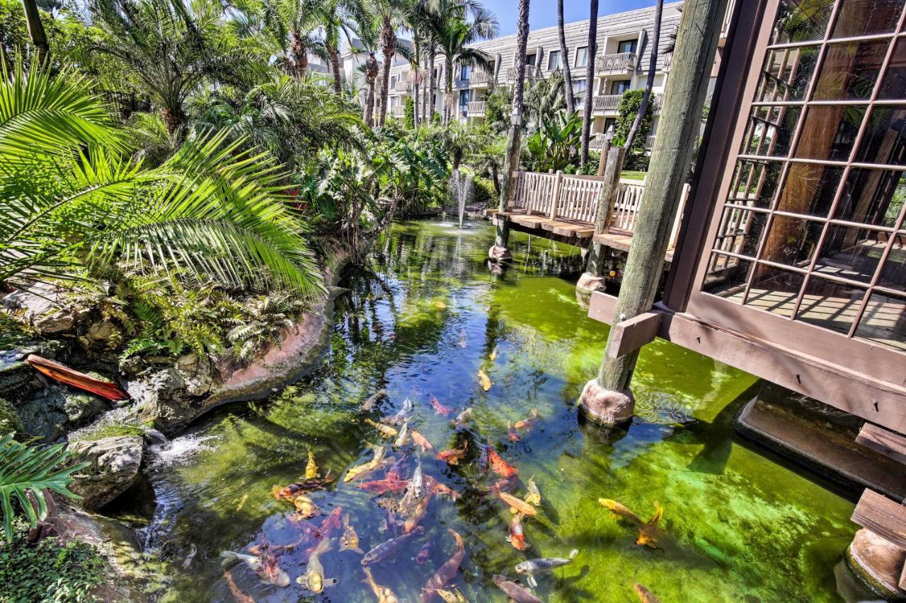 Charming Oceanside Condo With Beach And Pool Access! Eksteriør billede